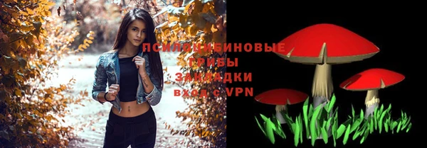 шишки Остров